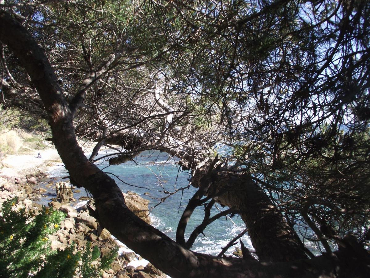 T2 Climatise A 500M De La Plage Sur La Presqu'Ile De Saint Mandrier Sur Mer ภายนอก รูปภาพ